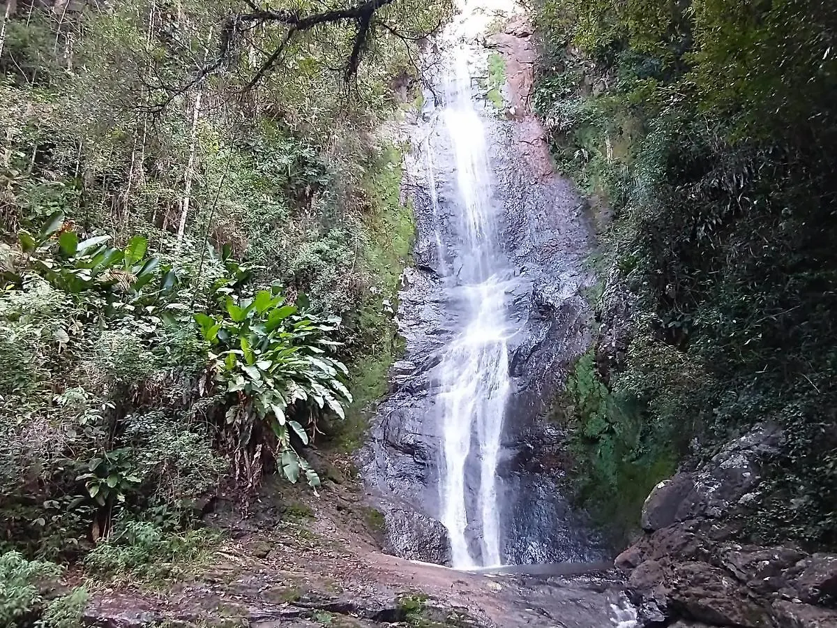 Figueira De Rio Do Boi Chale Totens Прая-Гранди Бразилия