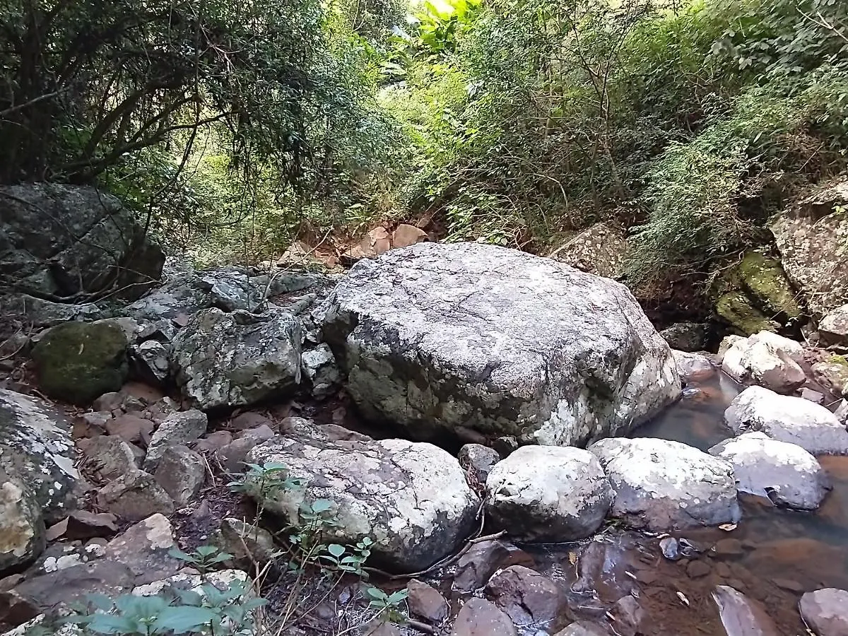 Шале Figueira De Rio Do Boi Chale Totens Прая-Гранди