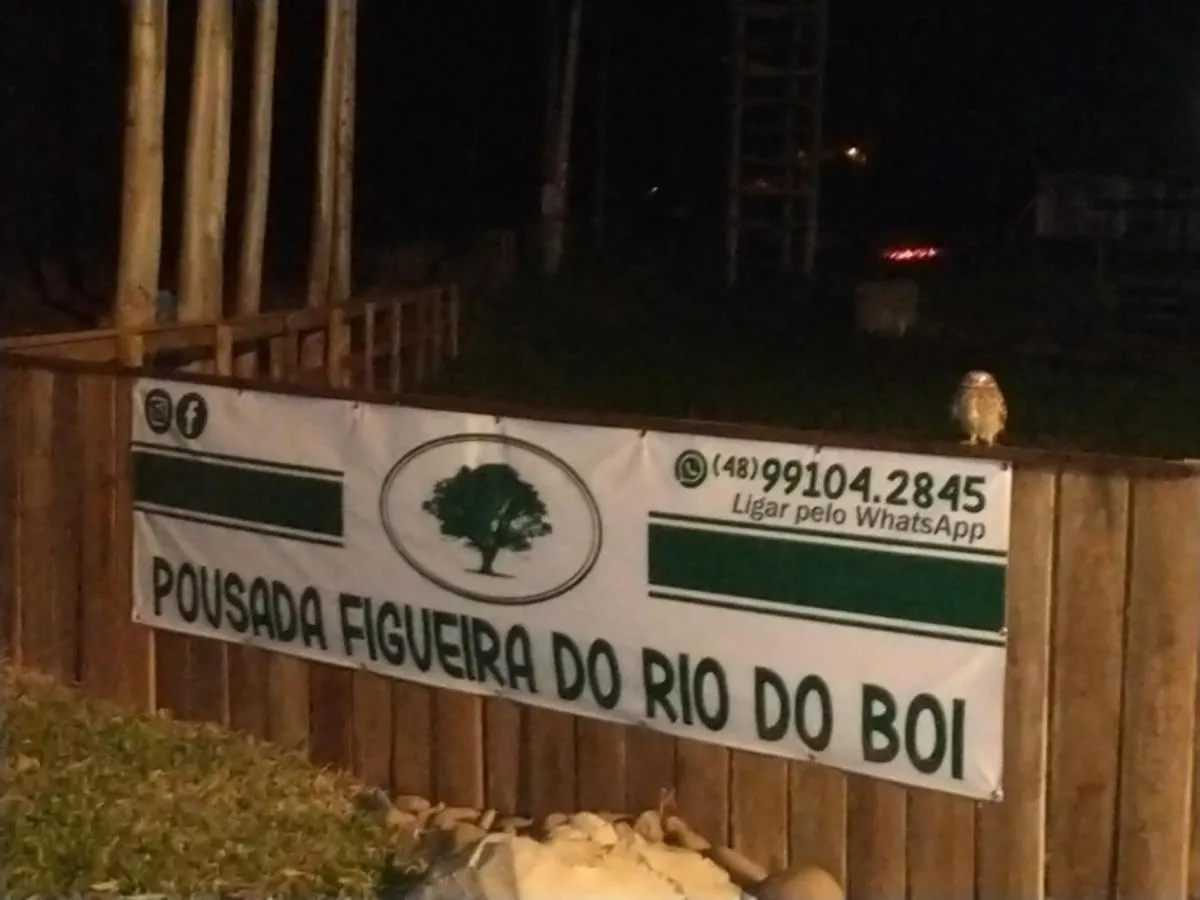 Figueira De Rio Do Boi Chale Totens Прая-Гранди 0*,